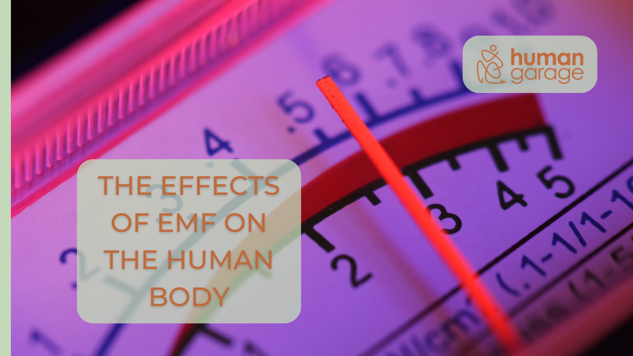the effects of EMF on the human body